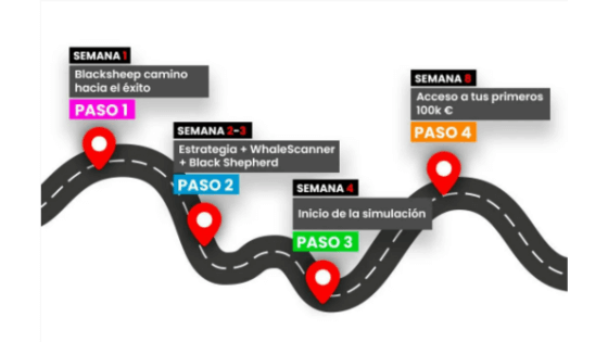 Hoja ruta Black Sheep Academy Pro